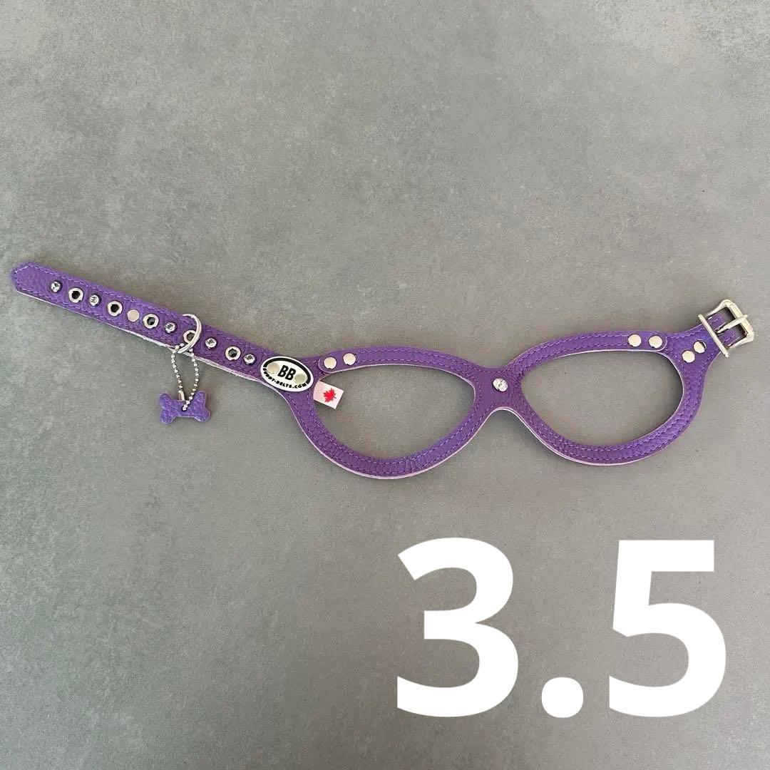 バディベルト BUDDYBELTS 3.5 紫 ハーネス
