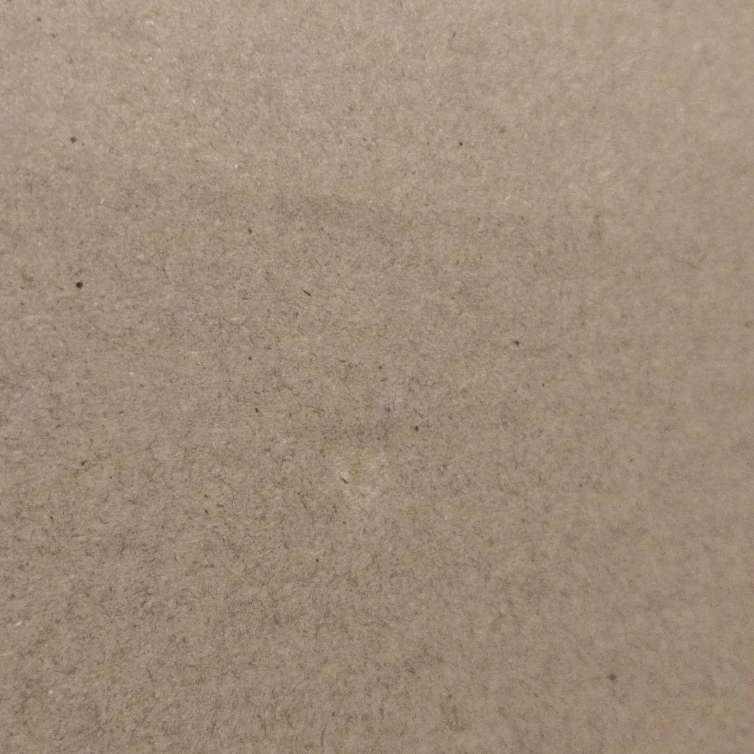 L BUILD ガンダムアストレア TYPE-X フィンスターニス　新品