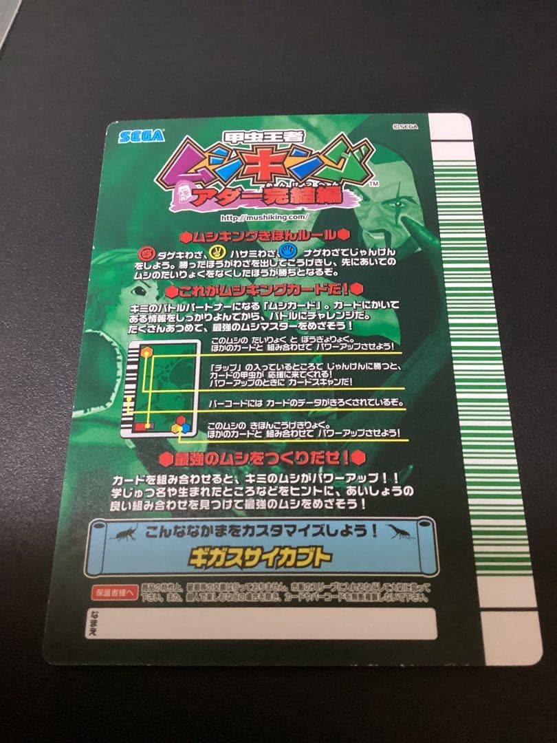 ぷてらす　ヘルクレスオオカブト 他