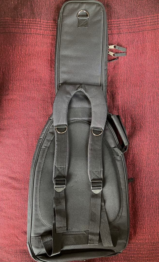 FGN 上位機種 テレキャス NTE21RAH アッシュ美品