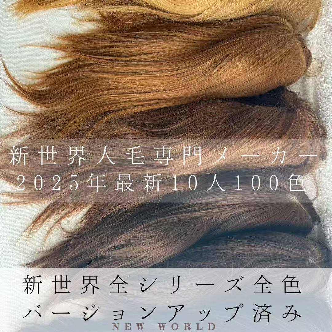 真・新健康シリーズ2025新世界人毛100%ウィッグMシルクスキン　医療ウィッグ