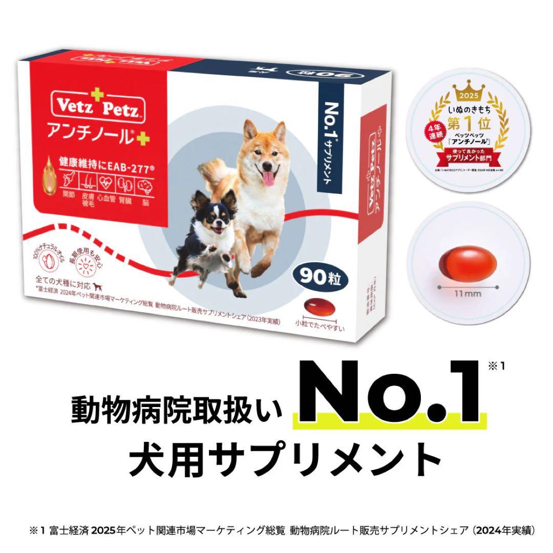 アンチノールプラス 90粒　未開封