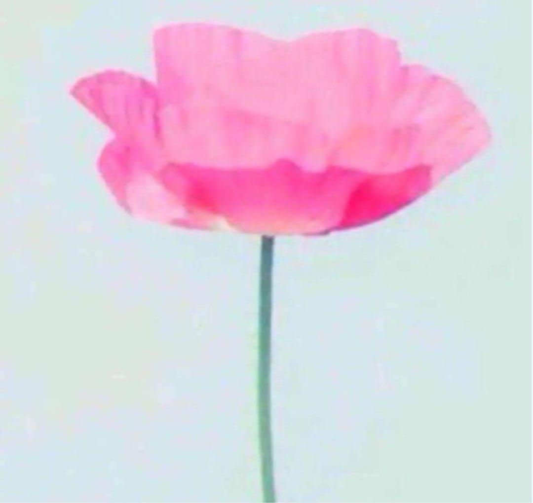 ひまわり R