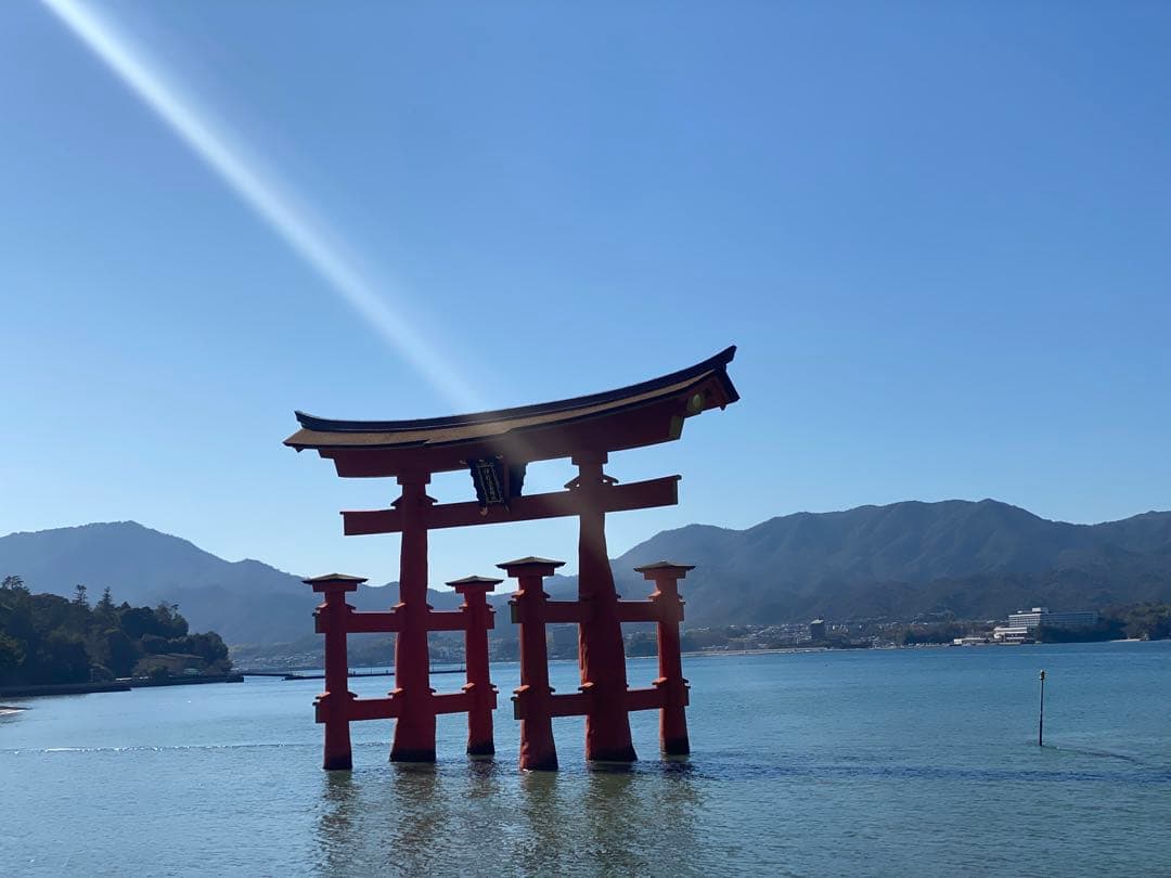 さくら