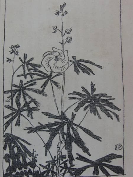 石井柏亭、草の花(1)、明治、希少な額装用画集より、新品高級額装付、状態良好