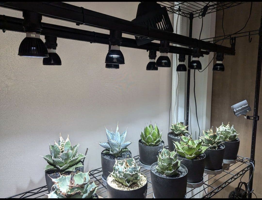 【7個セット】植物用LED UNDERDOG NURSERY 5800K 専用