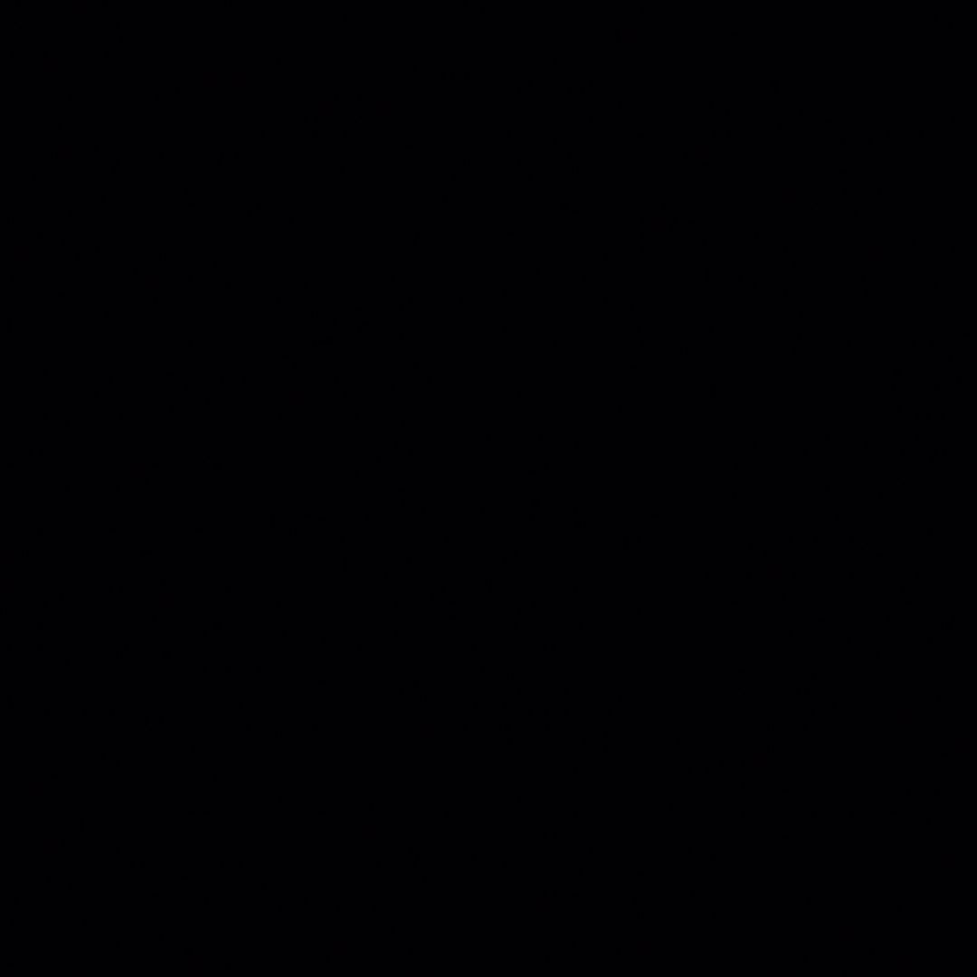 れんこん