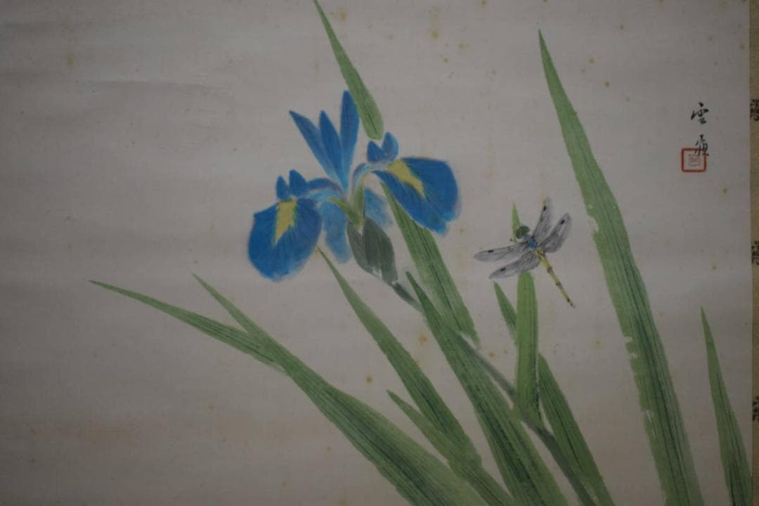 真作/赤松雲嶺/菖蒲に蜻蛉図/トンボ図/桐共箱二重箱付/布袋屋掛軸HG-433