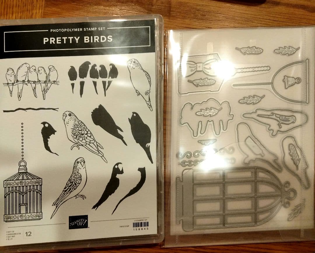 お値下！未使用　インコの可愛いスタンプ＆ダイ　スタンピンアップ