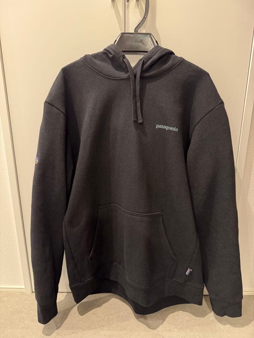 Patagonia フィッツロイ・アイコン・アップライザル・フーディ 39666