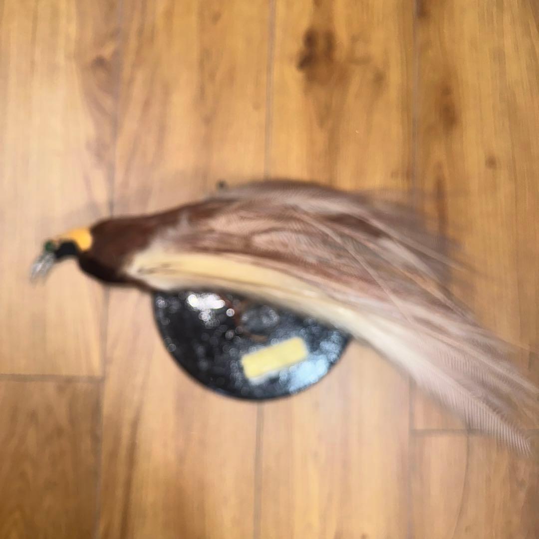 パリ鳥オブジェ　台座付アンティークビンテージ bird of paradise
