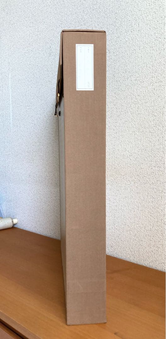 大橋拓子「記憶の風景」 額装● 日本画作品 人の内面を描き出してます●