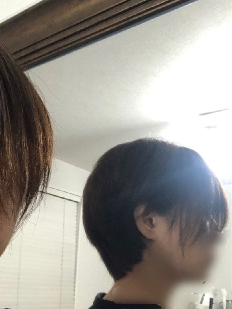 人毛100% フルウィッグ　ショートボブ　ブラウン