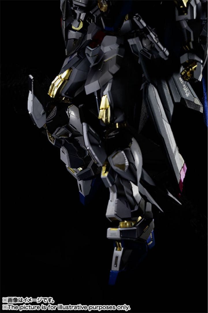 L BUILD ストライクフリーダムガンダム　光の翼フルパッケージ
