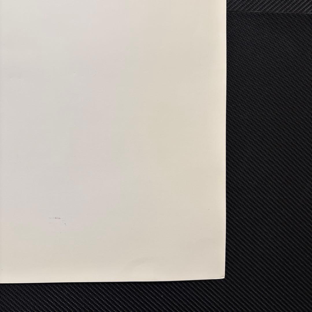 ✨️入手困難✨️ 鳥山明の世界 ドラゴンボール 複製原画 A 孫悟飯