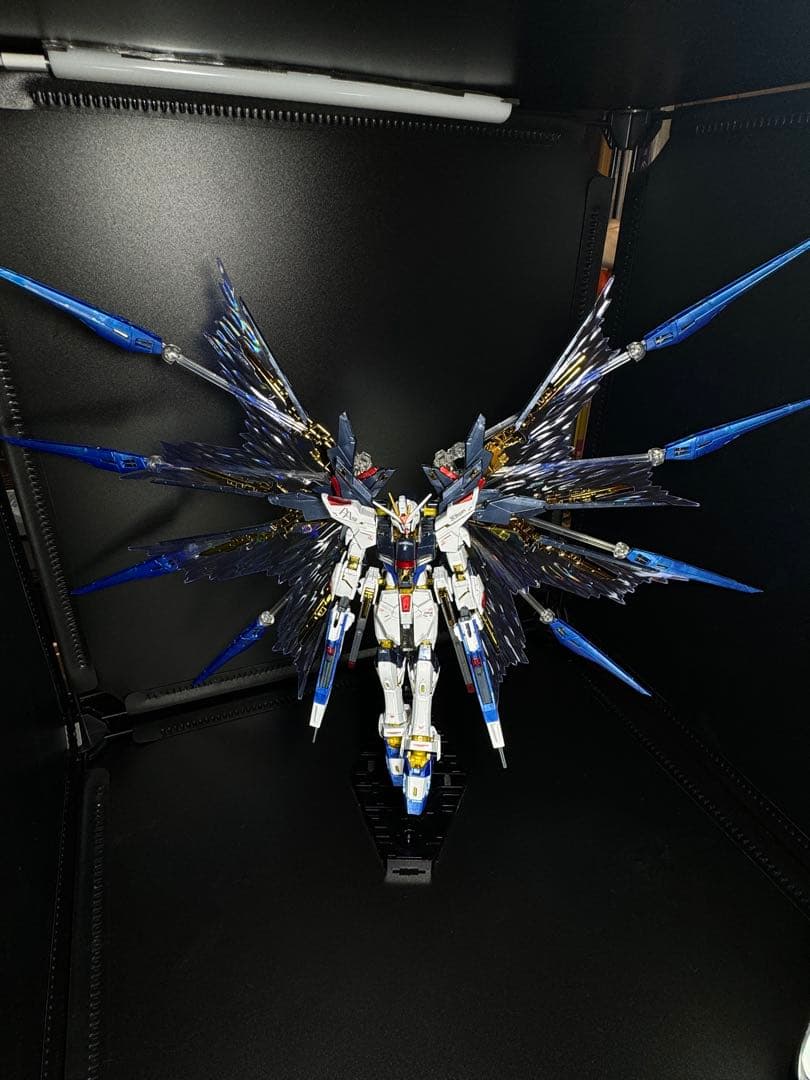 RGストライクフリーダム　チタニウムフィニッシュ 天空の翼セット