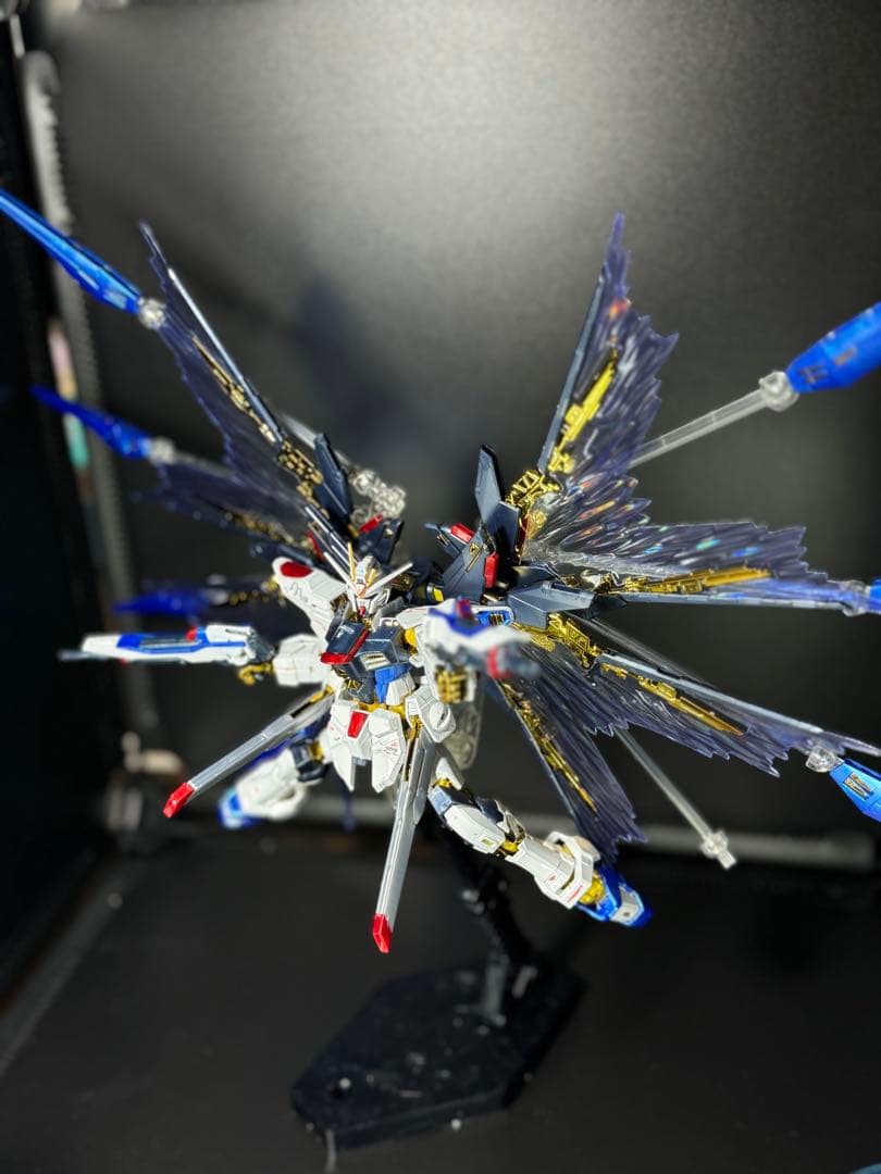 RGストライクフリーダム　チタニウムフィニッシュ 天空の翼セット