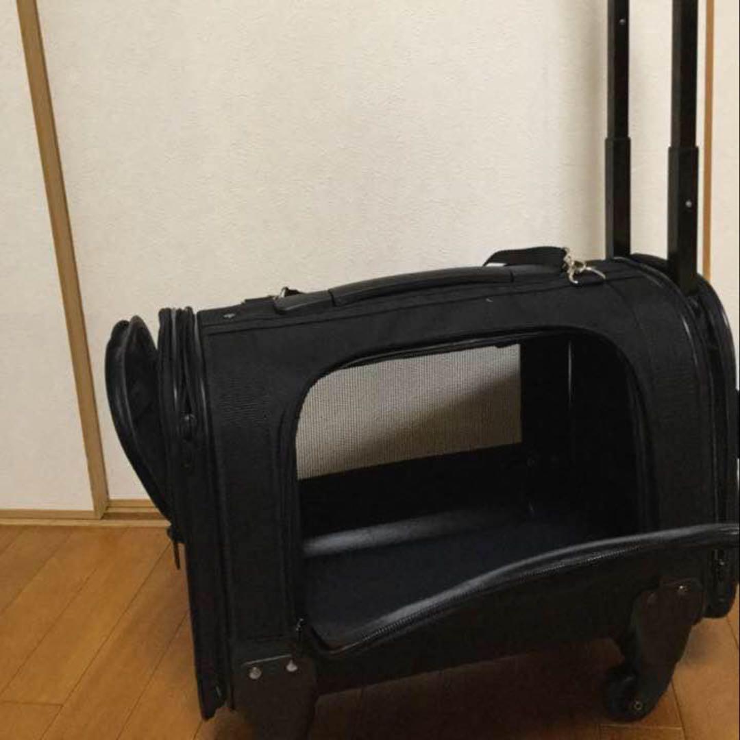 犬 キャリー