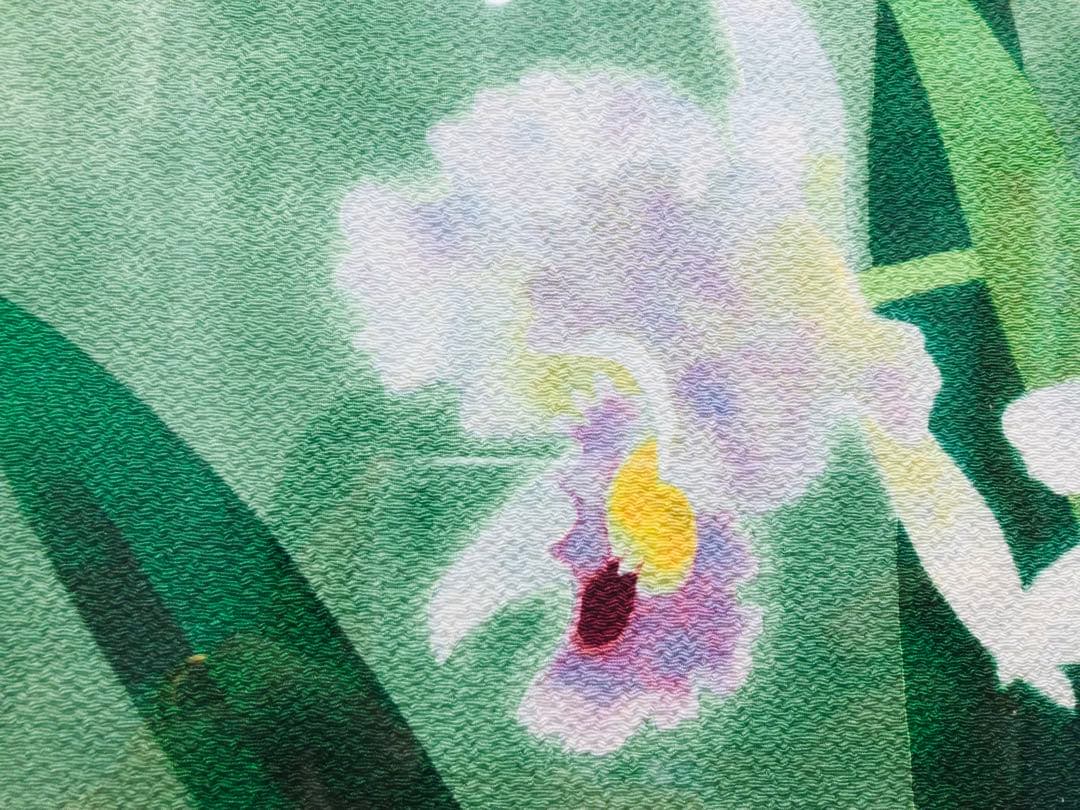 絵画 額装 日本画 真作 原画 山口華楊 花菖蒲 蘭