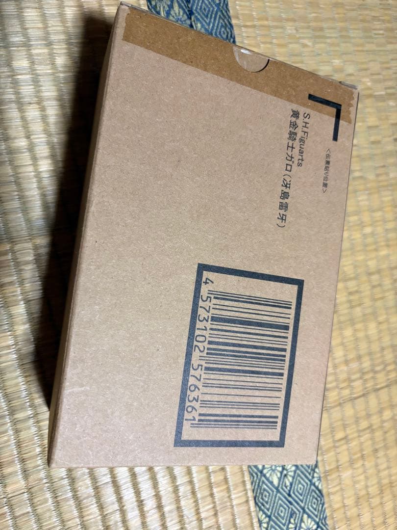 itary ガロ 雷牙