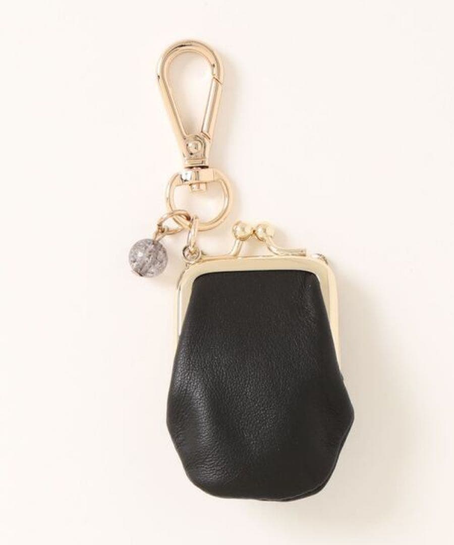 ANNA SUI　ケース