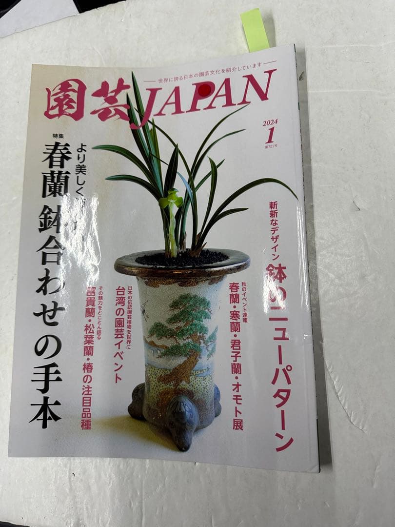 雑誌掲載　絵画　作　田中二郎