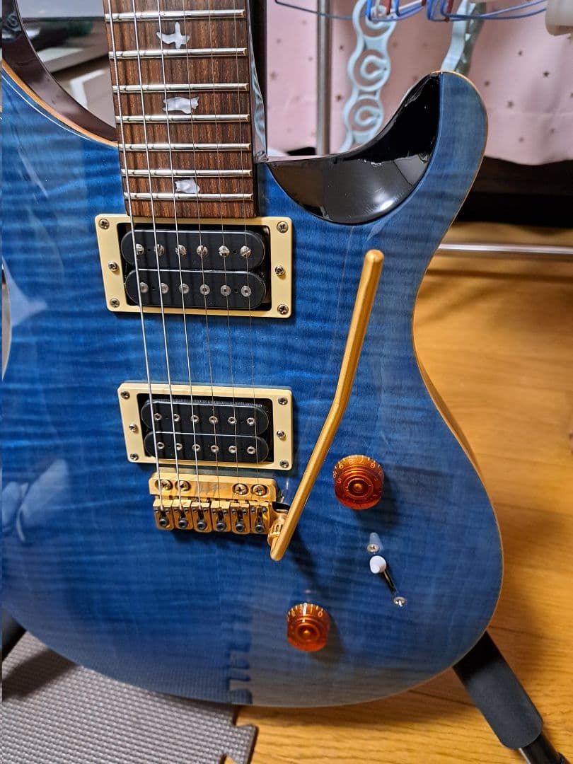 ギター PRS SE custom 24 Modify vegatrem