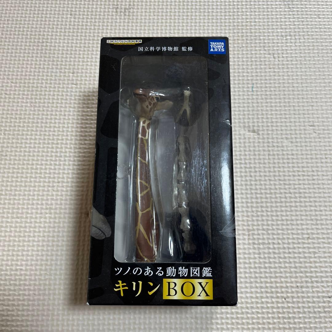 ツノのある動物図鑑　キリン　BOX 国立科学博物館