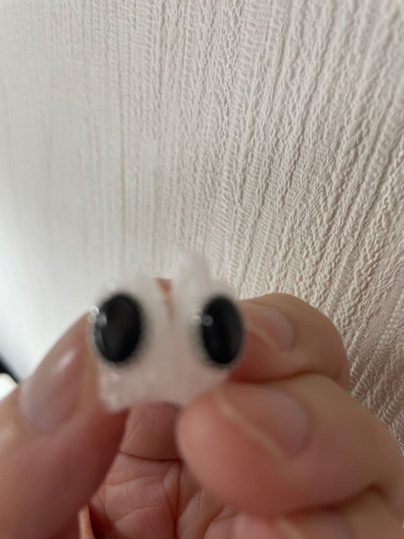 猫清