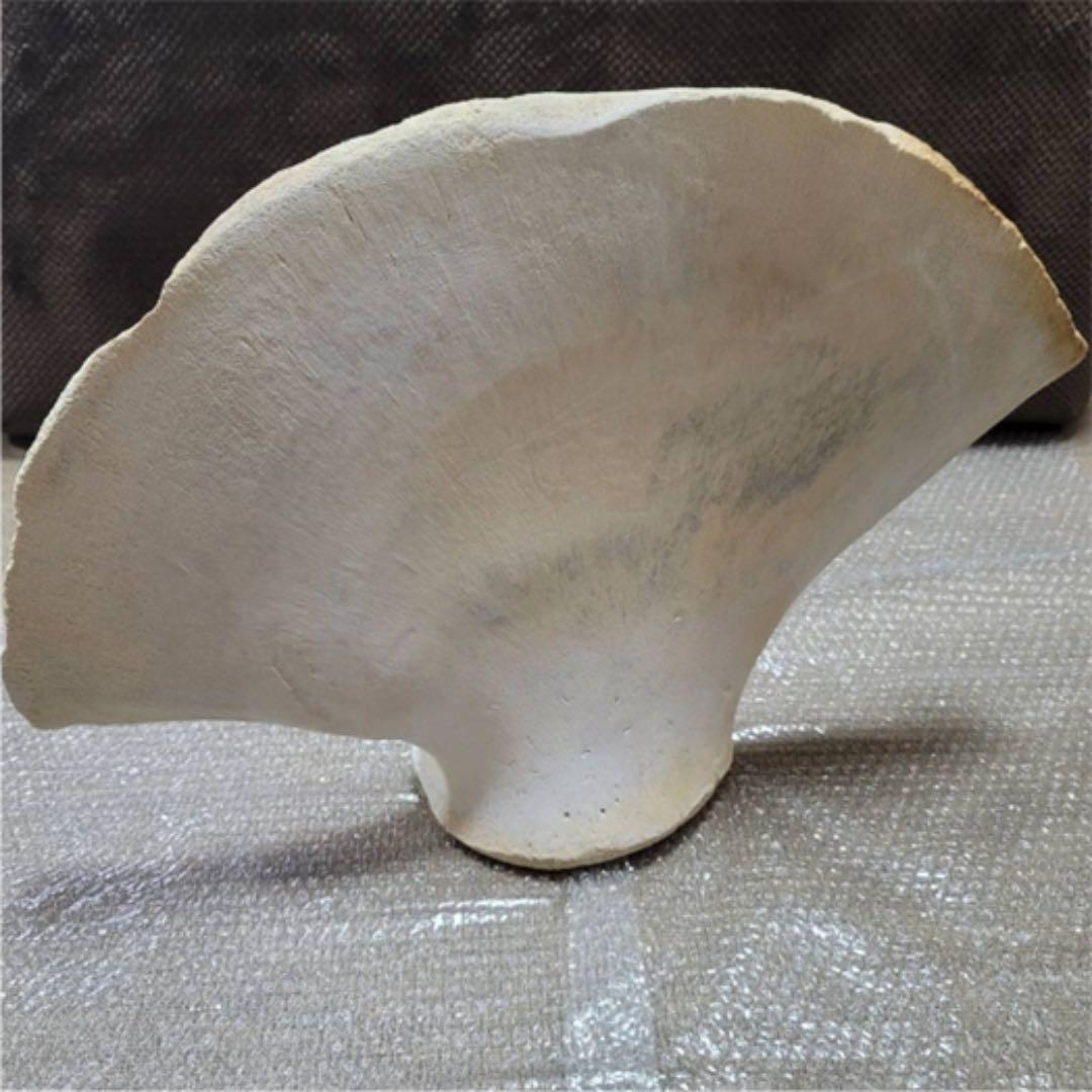 鯨の骨