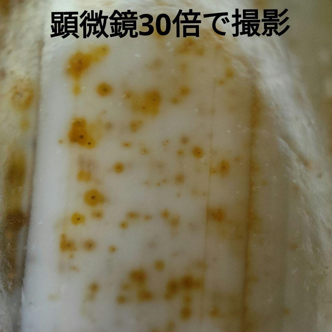 A27 朱砂老礦三眼天珠　天然石　鉱物　風水　開運　御守り　天珠　ブレスレット