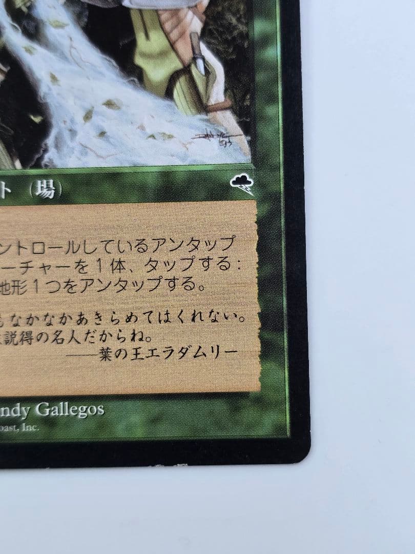 MTG 《大地の知識/Earthcraft》[TMP] 日本語