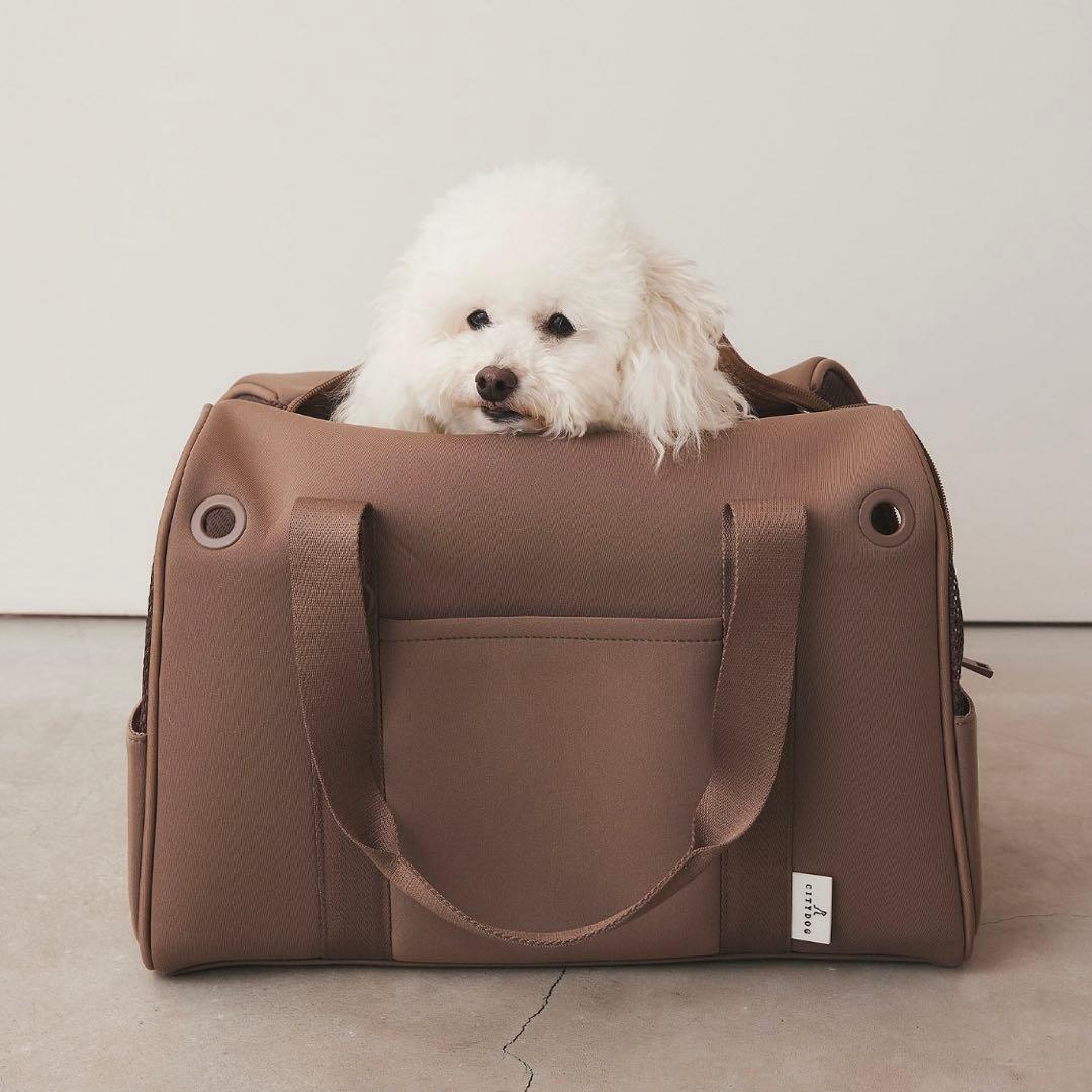 city dogネオプレーンボストンキャリー,Sサイズ,オフホワイト