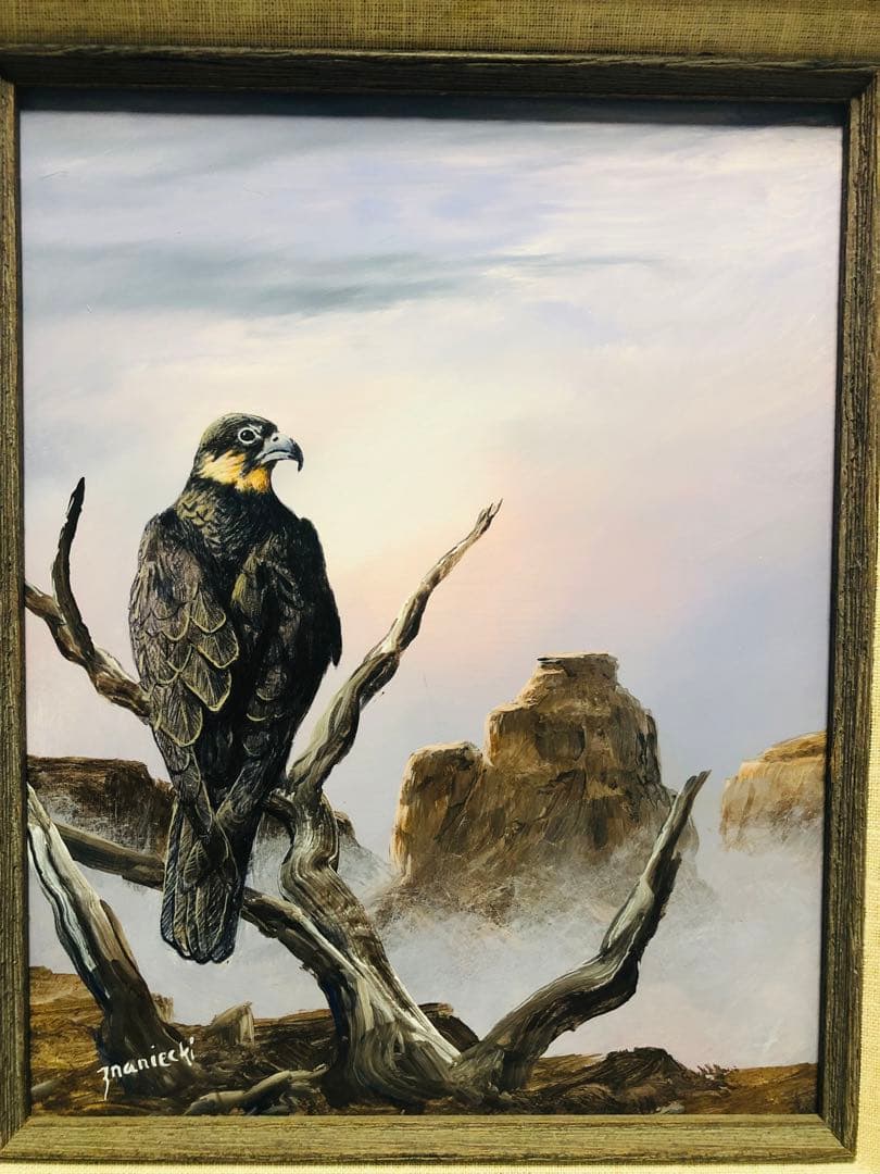 Anton Znaniecki ハヤブサ Falcon 絵画