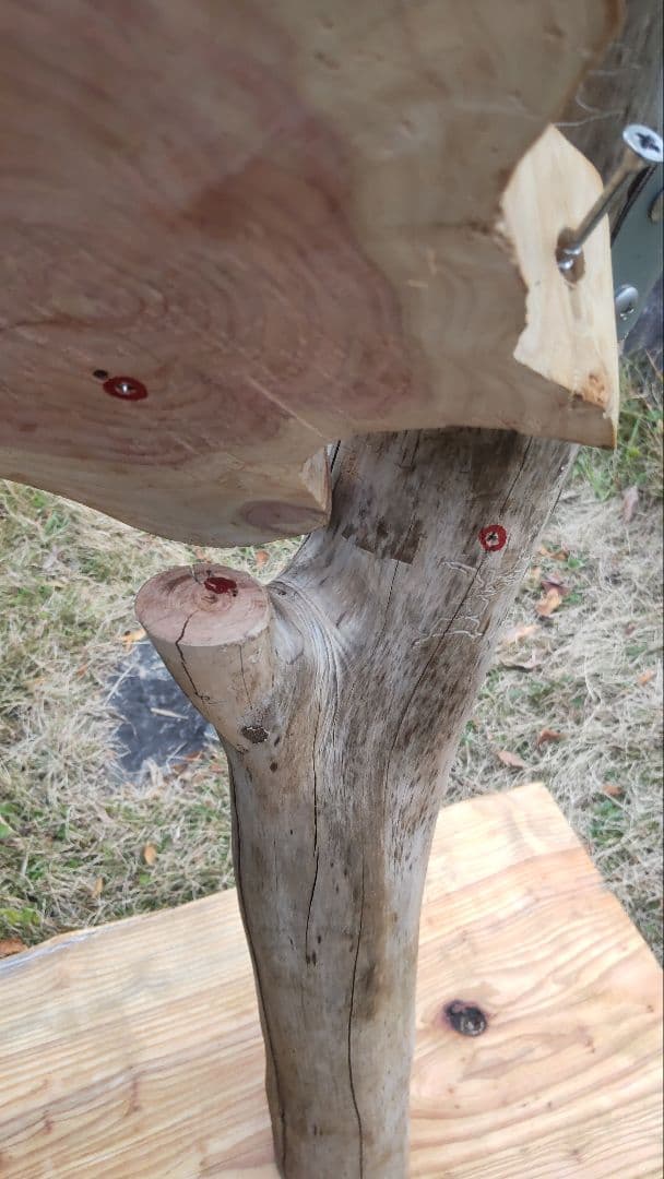 キャットタワー