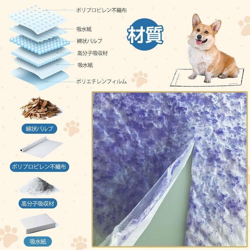 ちいさん