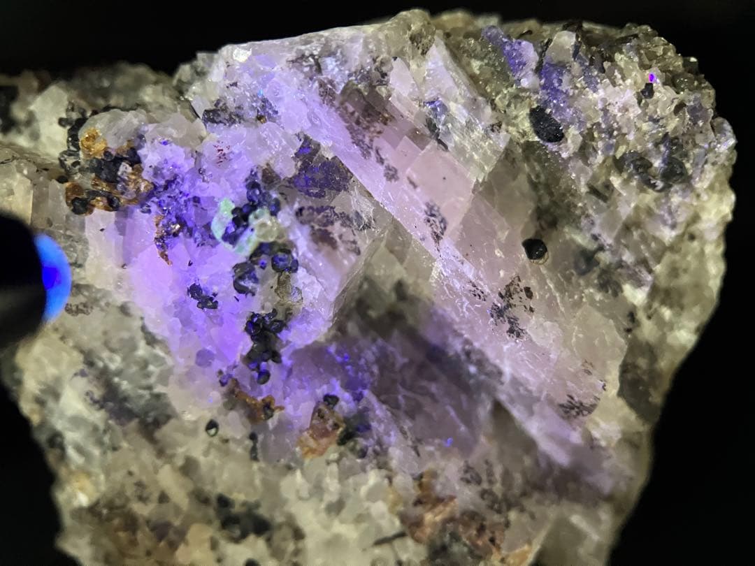 フランクリン鉱山 フランクリン鉱 鉱物標本