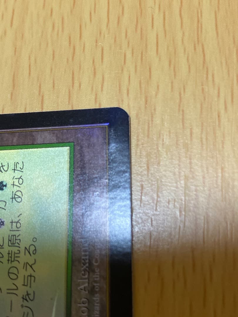 ラノワールの荒原　FOIL 4枚セット　APC
