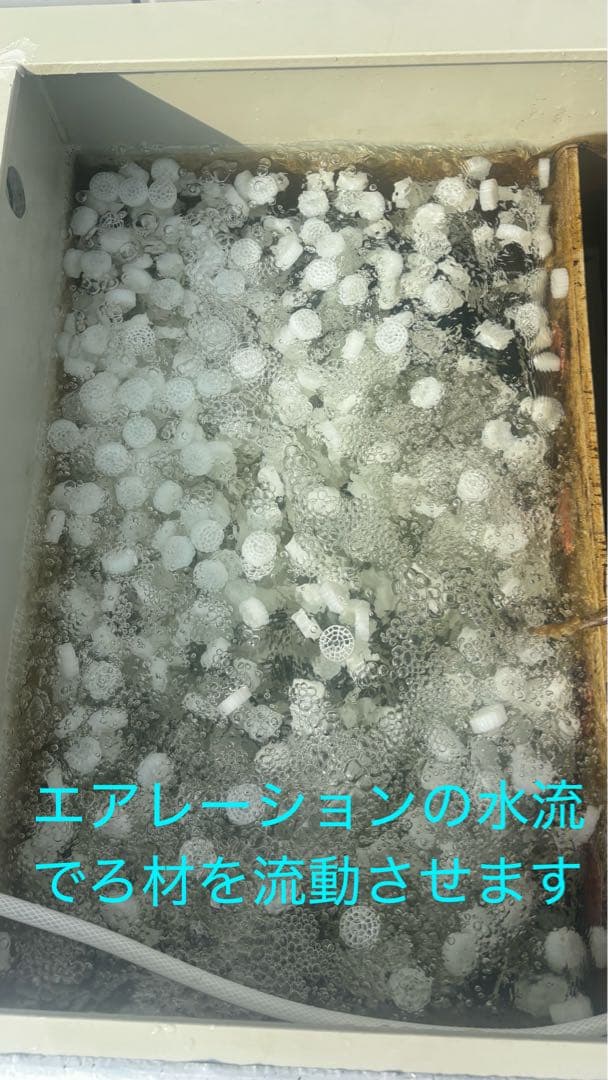 タコ　50L