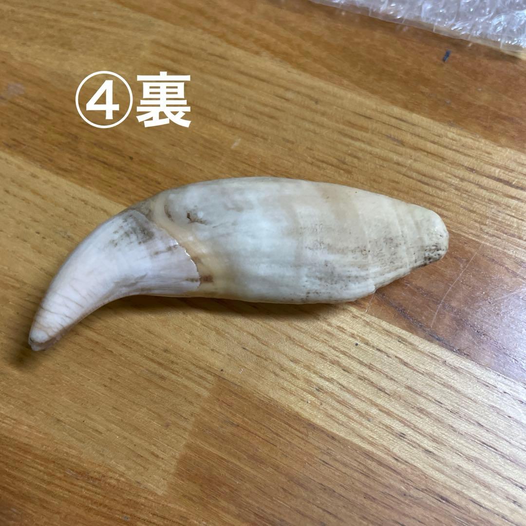 やま男