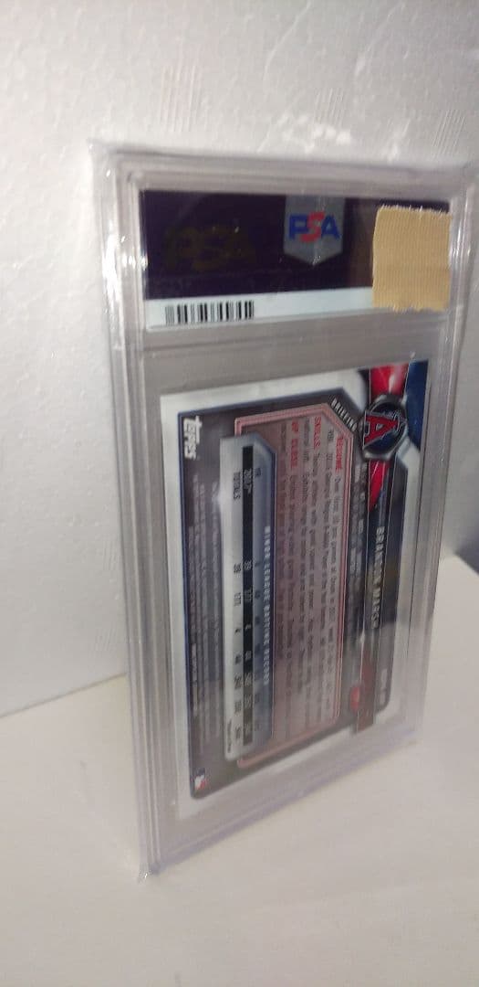 その他 Bowman chrome