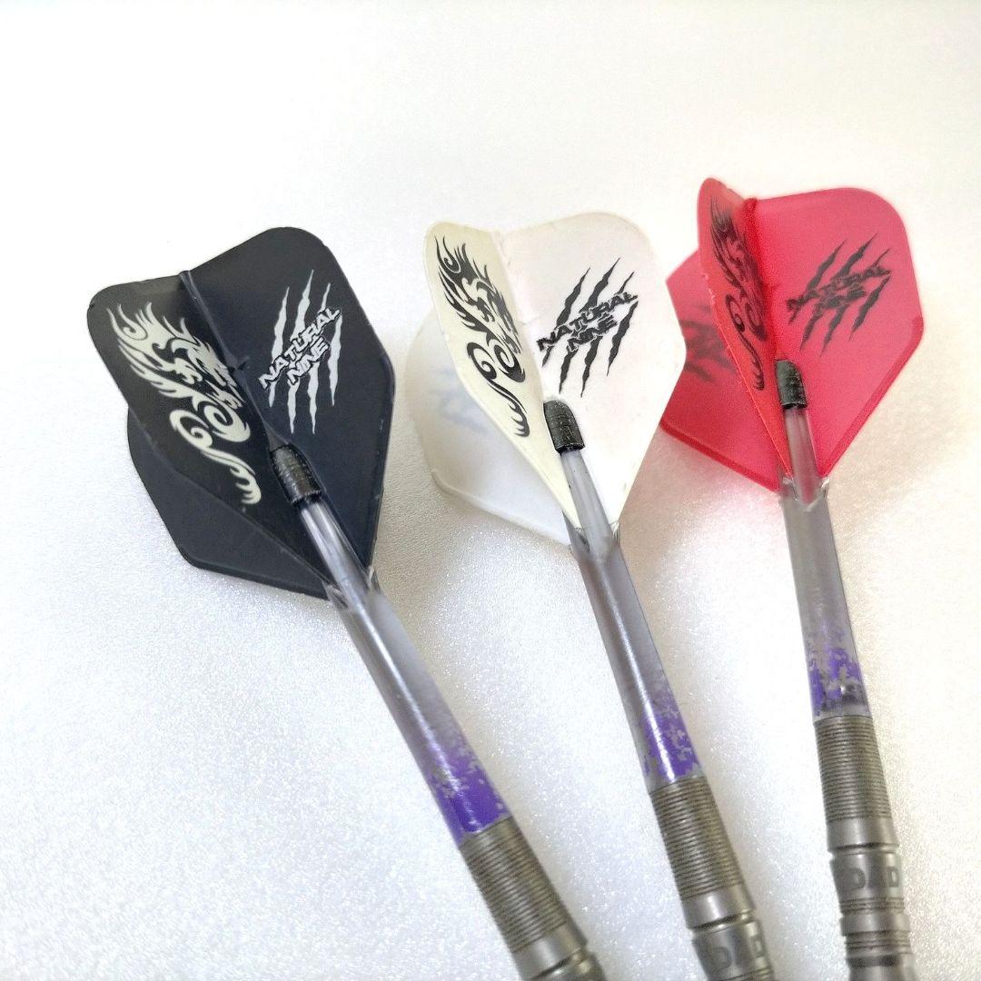 アルティマダーツ ガーディアンケースブラック バレル、チップケースなど付属品多数