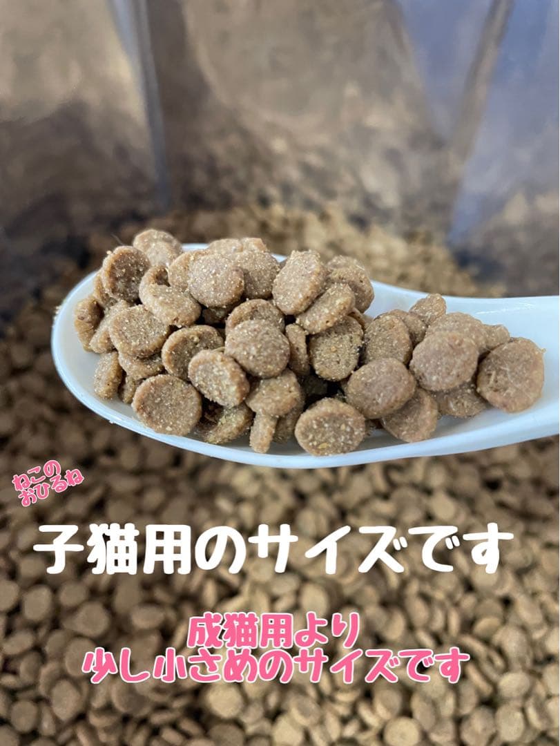 ニュートロシュプレモ　子猫用　（チキン&サーモン）　3kgパック
