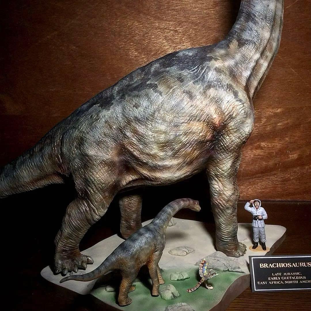 タミヤ ブラキオサウルス 情景セット 完成品！