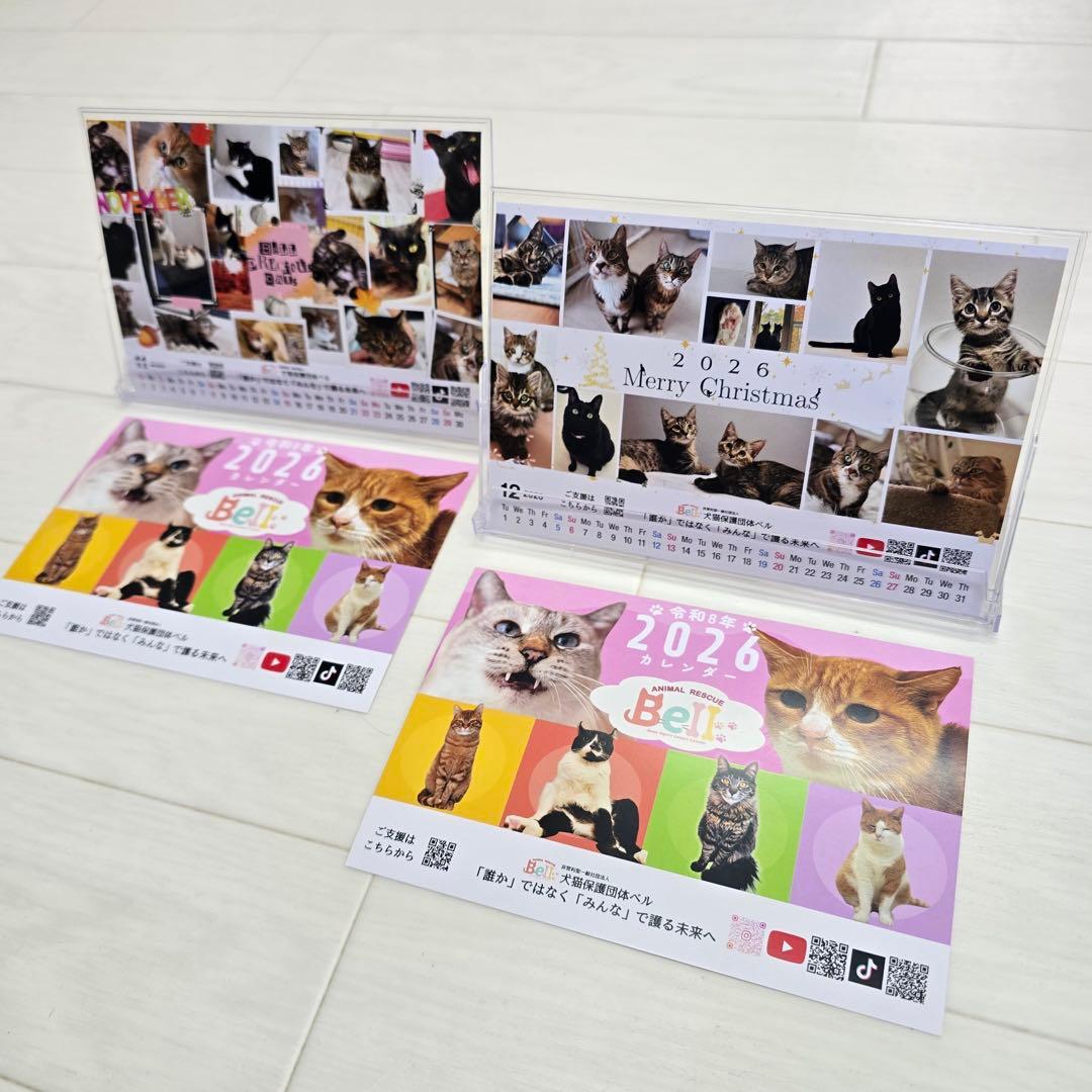 ②《猫》 卓上チャリティーカレンダー5枚セット