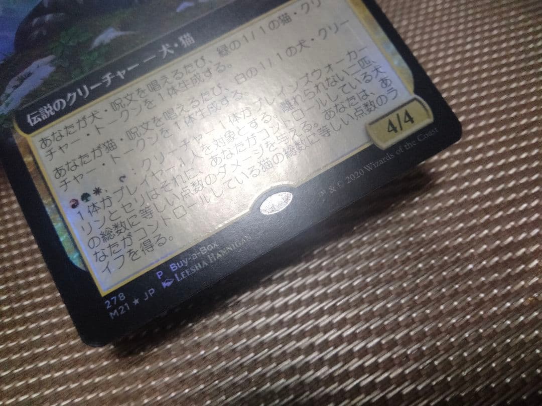 確認用】M21 BOXプロモFOIL 離れられない二匹、リンとセリ 日本語 1枚