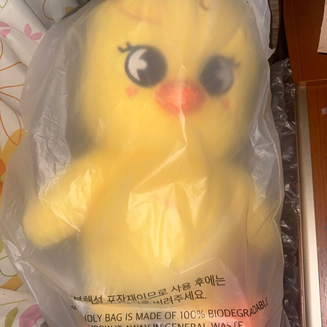 BbokAri テディベアSKZOO PLUSH TEDDYBEAR Ver.