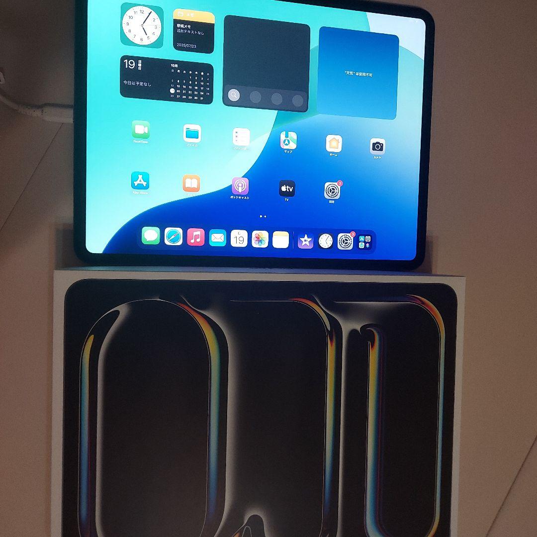 Apple iPad Pro 13インチ　256GB