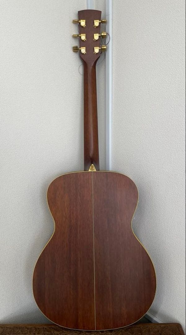 【E】Ibanez Art Wood RLGツリーオブライフインレイ ケース付き