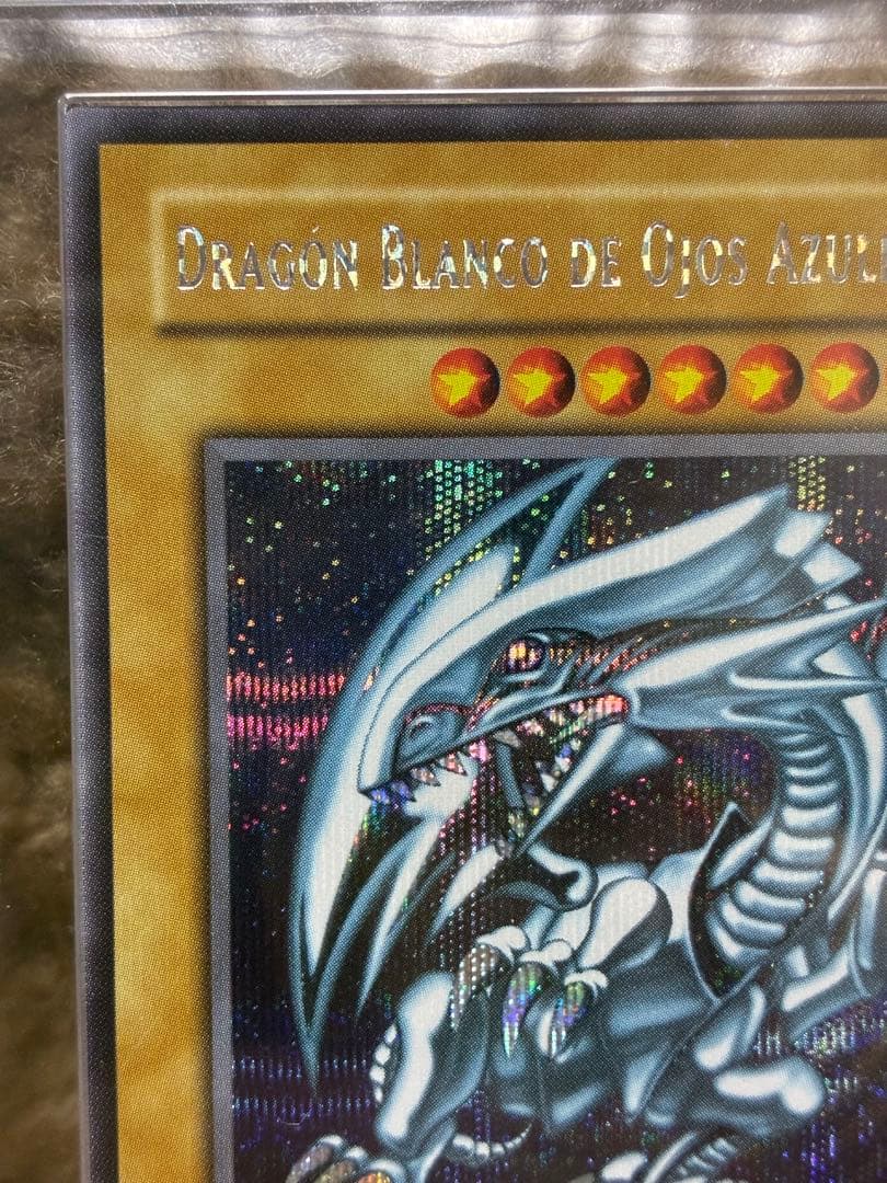 青眼の白龍 DOR ARS8